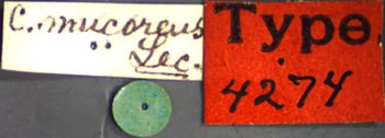 Media type: image;   Entomology 4274 Aspect: labels